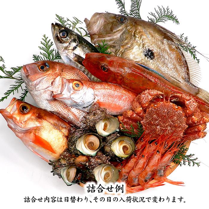 石川県 旬の魚 お刺身用 鮮魚詰合せ お魚BOX 8〜9種 ( 下処理 石川県 旬の魚 お刺身用 鮮魚詰合せ お魚BOX 8〜9種 ( 下処理