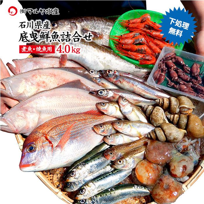 四季の魚を直送 旬の獲れたて底曳鮮魚 4 0kg詰め合わせ 石川県産 主に焼魚 煮魚用 下処理済み お届け日の指定不可 Fishset6 加賀 橋立港 マルヤ水産 通販 Yahoo ショッピング