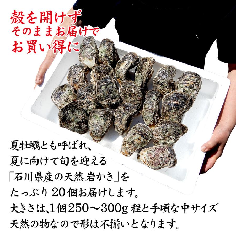 先行予約受付 6月日以降のお届け予定 岩牡蠣 天然 殻付き 生食用 石川県産 中 個 殻を開けずそのまま お得にお届け Gaki03s 加賀 橋立港 マルヤ水産 通販 Yahoo ショッピング