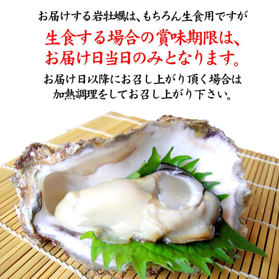 先行予約受付 6月日以降のお届け予定 岩牡蠣 天然 殻付き 生食用 石川県産 中 個 殻を開けずそのまま お得にお届け Gaki03s 加賀 橋立港 マルヤ水産 通販 Yahoo ショッピング
