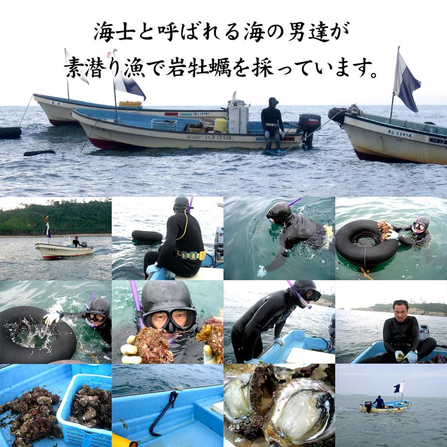 お中元 岩牡蠣 カキ かき (天然 殻付き 生食用) 石川県産 大×20個 開け易いよう貝柱を切ってお届け 産地直送 お取寄せ 送料無料 