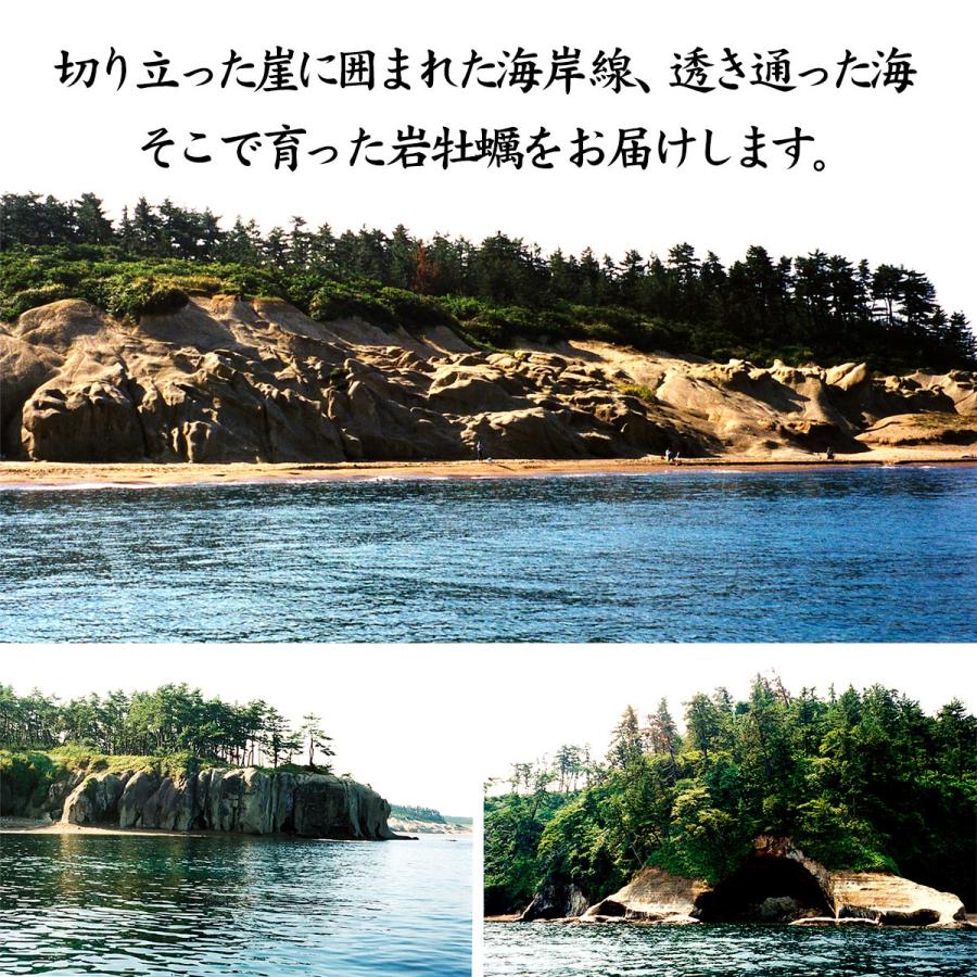 お中元 岩牡蠣 カキ かき (天然 殻付き 生食用) 石川県産 大×20個 開け易いよう貝柱を切ってお届け 産地直送 お取寄せ 送料無料 