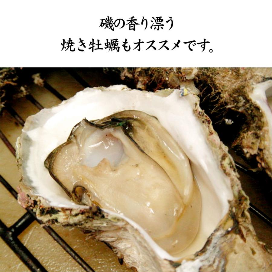 岩牡蠣 天然 殻付き 生食用 石川県産 大 個 殻を開けずそのまま お得にお届け Gaki05 加賀 橋立港 マルヤ水産 通販 Yahoo ショッピング