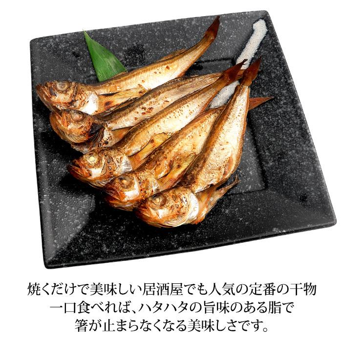 はたはた 干物 一夜干し 1 0kg 全商品オープニング価格 40 50匹 石川県産