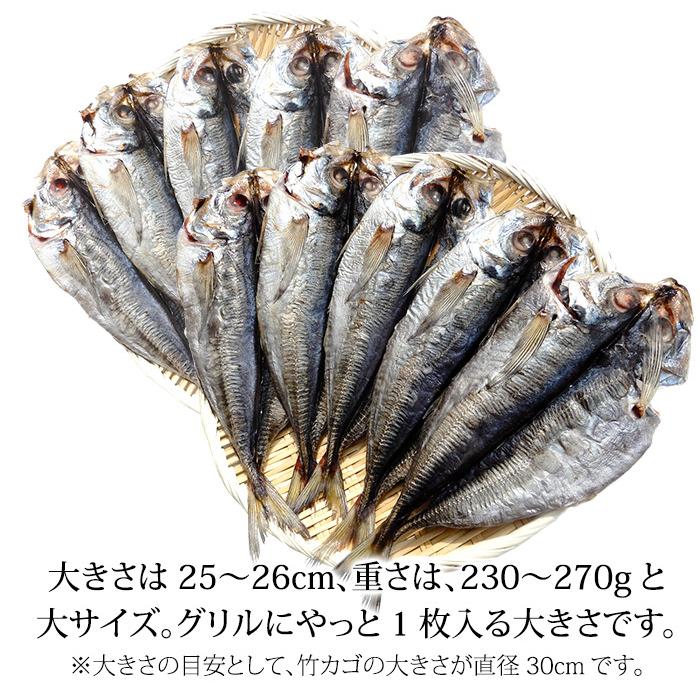 あじ 真アジ トロあじ 開き 干物 ノルウェー産 石川県加工 大サイズ 25 26cm 10枚 Hs 001 2 加賀 橋立港 マルヤ水産 通販 Yahoo ショッピング