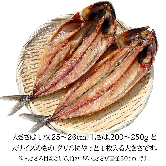 さば 真さば トロサバ 開き 干物 ノルウェー産 石川県加工 大サイズ 25 26cm 10枚 Hs 004 2 加賀 橋立港 マルヤ水産 通販 Yahoo ショッピング