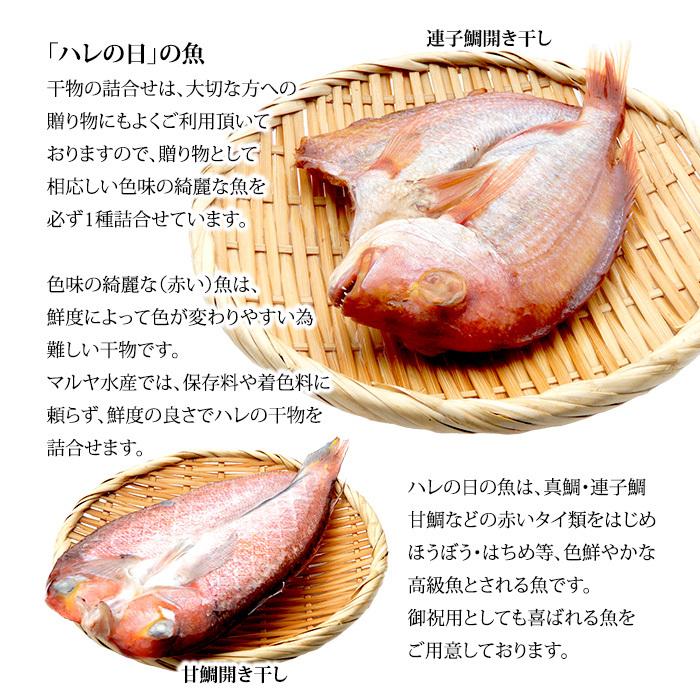 干物 ひもの 一夜干し 石川県産 お任せ 5 6種 のどぐろ2 3枚 詰め合わせ Hs 012 加賀 橋立港 マルヤ水産 通販 Yahoo ショッピング