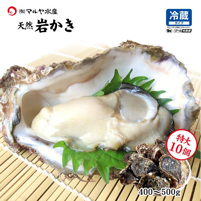 牡蠣 岩ガキ 殻付き 生食用 石川県 特サイズ 10個 産地直送 かき 夏