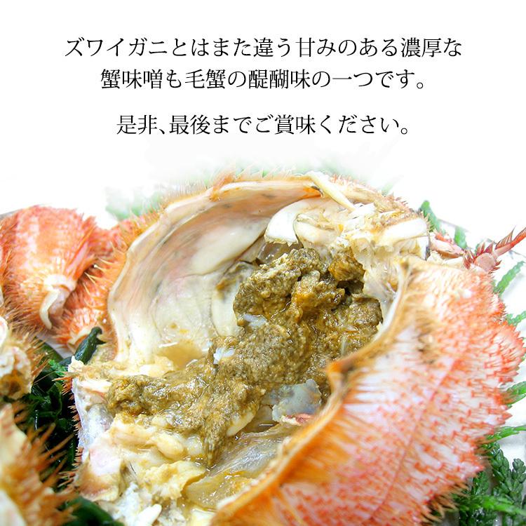 毛ガニ 毛蟹 訳あり 1匹 700g〜799g 石川県産 活蟹 or 茹で蟹 未冷凍品