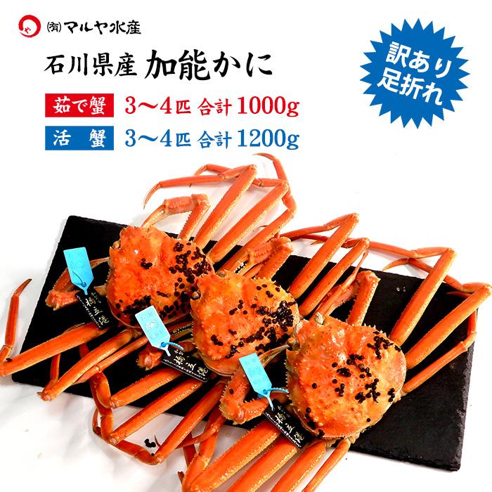 予約販売 カニ 訳あり かに 蟹 ズワイガニ ずわい蟹 加能かに 訳あり足