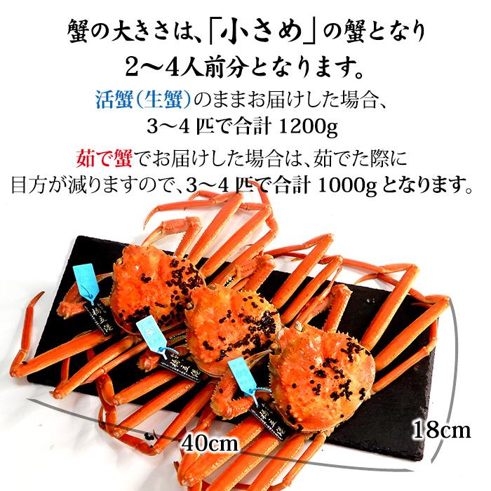 食品 訳あり カナダ産折れちゃったズワイ蟹A級品 3キロ