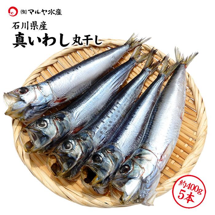 真いわし 丸干し 干物 石川県産 400g 5本 Segurosaurora Com