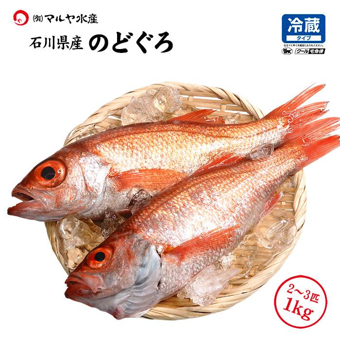 のど黒 ノドグロ 石川県産 未冷凍 刺身用 2 3匹 合計1 0kg お届け日指定不可 N Nodoguro 2 3 1000g 加賀 橋立港 マルヤ水産 通販 Yahoo ショッピング