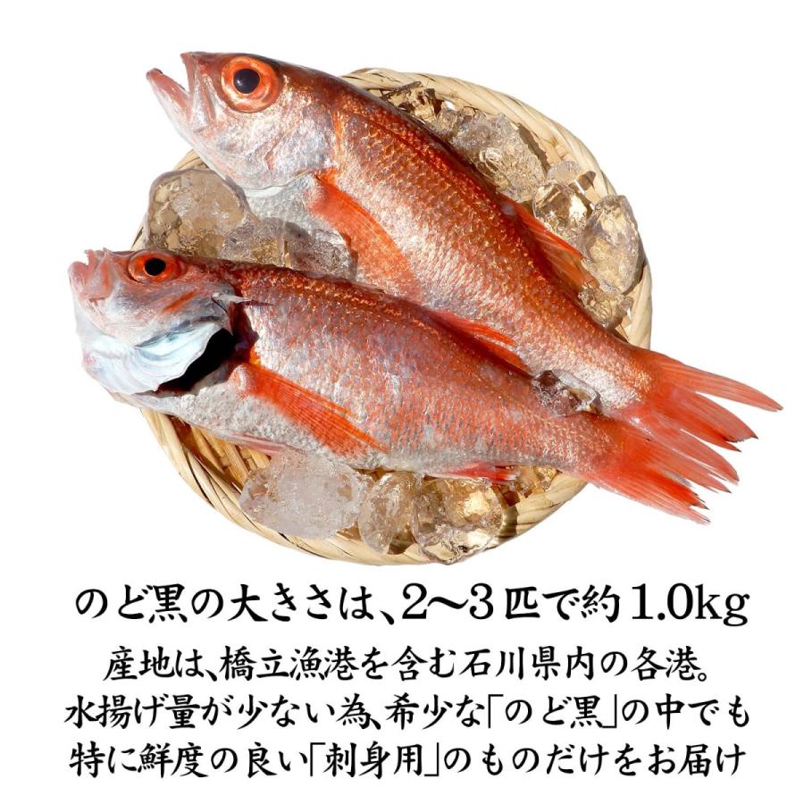 のど黒 ノドグロ 石川県産 未冷凍 刺身用 2 3匹 合計1 0kg お届け日指定不可 N Nodoguro 2 3 1000g 加賀 橋立港 マルヤ水産 通販 Yahoo ショッピング