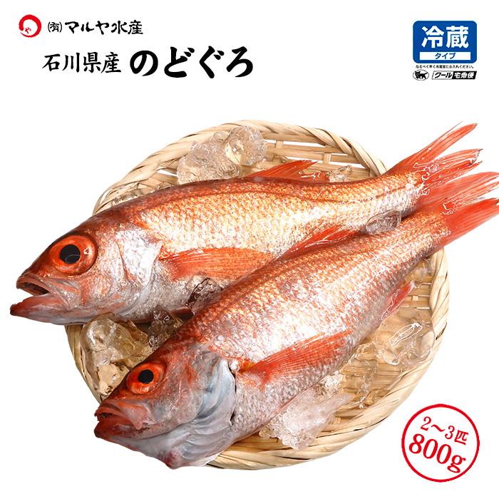 のど黒 ノドグロ 石川県産 未冷凍 刺身用 2 3匹 合計800g お届け日指定不可 N Nodoguro 2 3 800g 加賀 橋立港 マルヤ水産 通販 Yahoo ショッピング