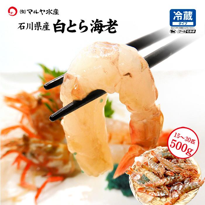 白がすえび 白とらえび 石川県産 お刺身用 未冷凍 お届け日指定不可 500g 15 25匹 N Sirotora 1 加賀 橋立港 マルヤ水産 通販 Yahoo ショッピング