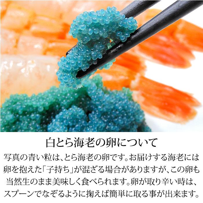 白がすえび 白とらえび 500g 15〜30匹 お刺身用 石川県産 ガスエビ えび 海老 贈答 ギフト 産地直送 お取り寄せ 送料無料 |  | 05