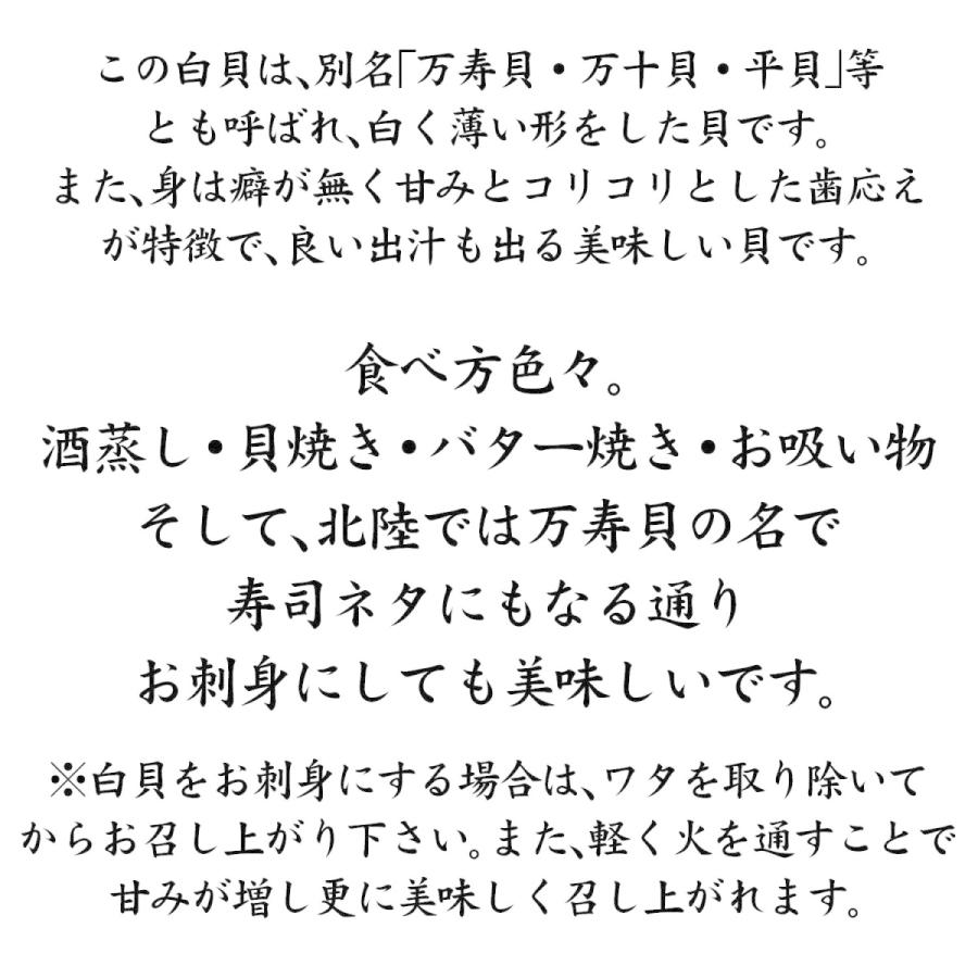 活白貝 万寿貝 サラガイ 北海道産 大きめ 10個 3セット以上のご注文で送料無料 Sirogai 10 加賀 橋立港 マルヤ水産 通販 Yahoo ショッピング