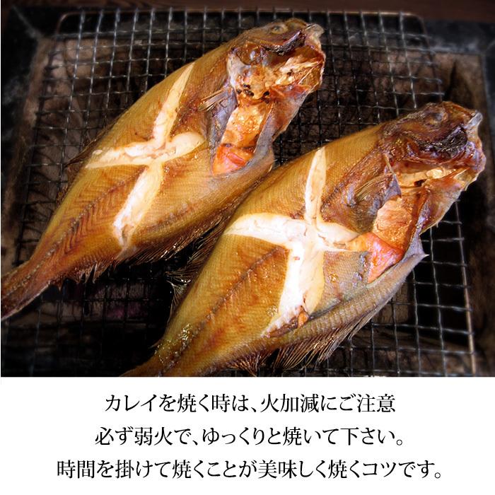 白かれい 干物 一夜干し 詰め合わせ 石川県産 特大 22 cm 5枚 Sirogare2 加賀 橋立港 マルヤ水産 通販 Yahoo ショッピング