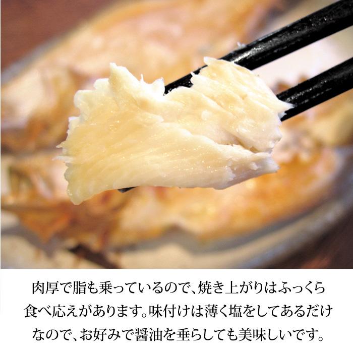 白かれい 干物 一夜干し 詰め合わせ 石川県産 大 18cm 5枚 Sirogare3 加賀 橋立港 マルヤ水産 通販 Yahoo ショッピング