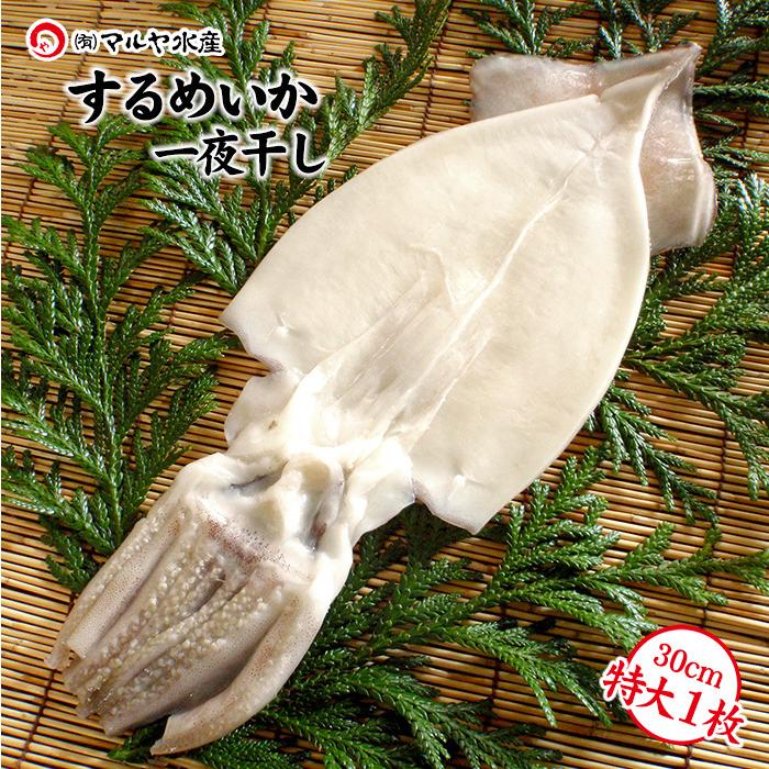 するめいか 干物 一夜干し 石川県産 小木漁港水揚げ1本凍結 船凍いか使用 特大30cm以上 1枚