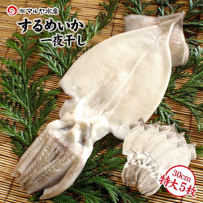 するめいか 干物 一夜干し ファッション通販 石川県産 船凍いか使用 特大30cm以上 5枚 小木漁港水揚げ1本凍結