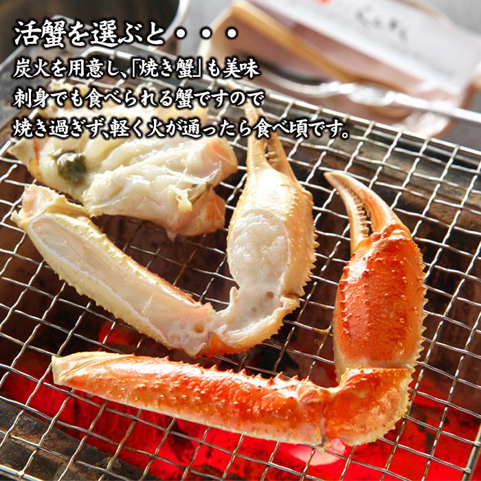 予約販売 カニ かに 蟹 ズワイガニ ずわい蟹 加能かに 石川県産 1匹