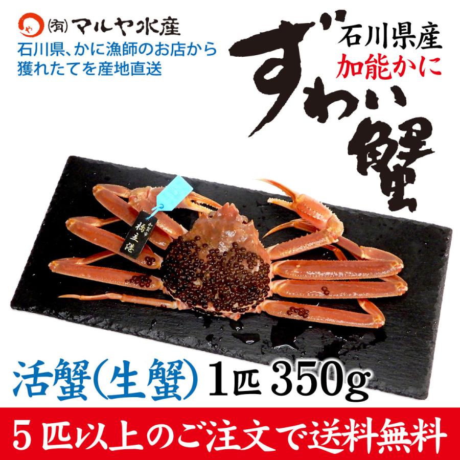 ズワイガニ 加能かに 石川県産 1匹 300g前後 青タグ付き 茹で蟹 活蟹 生かに でもお届け可能 贈答 ギフト 産地直送 Zuwai S 01 加賀 橋立港 マルヤ水産 通販 Yahoo ショッピング