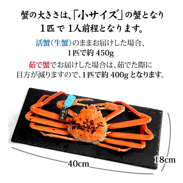 11/10以降出荷 カニ かに 蟹 ズワイガニ ずわい蟹 加能かに 石川
