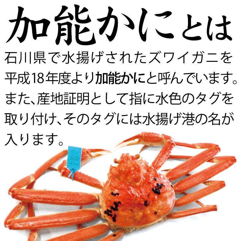 情熱セール 加賀 橋立港 マルヤ水産蟹漁解禁 ズワイガニ 加能かに 石川県産 3匹 合計750g以上 Digitalyouthnetwork Org
