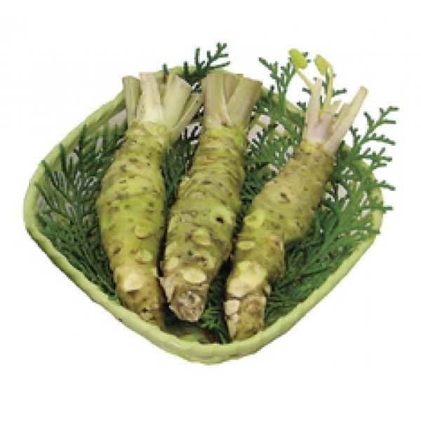 生わさびお徳用セット（合計約100g） | 