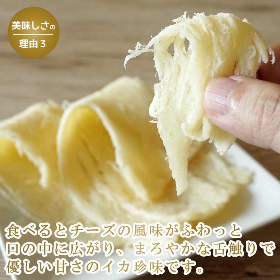 おつまみ 珍味 チーズ のしいか 110g 北海道 函館製造 イカ しっとり 濃厚チーズ とろーり 新食感 チーズ Cheese Noshiika 函館 マルユウ漁業部 通販 Yahoo ショッピング