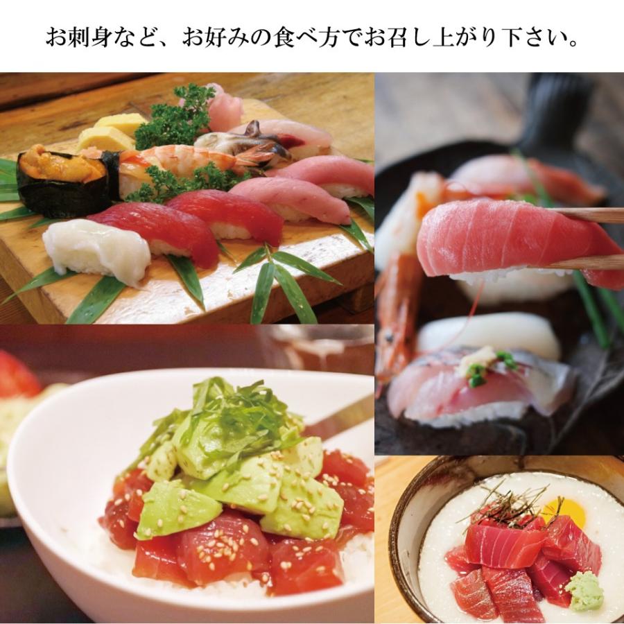 本マグロ 中トロ 刺身 サク 約230g 生食用 2 3人前 クロマグロ 極上品 冷凍 Chutoro 230 函館 マルユウ漁業部 通販 Yahoo ショッピング
