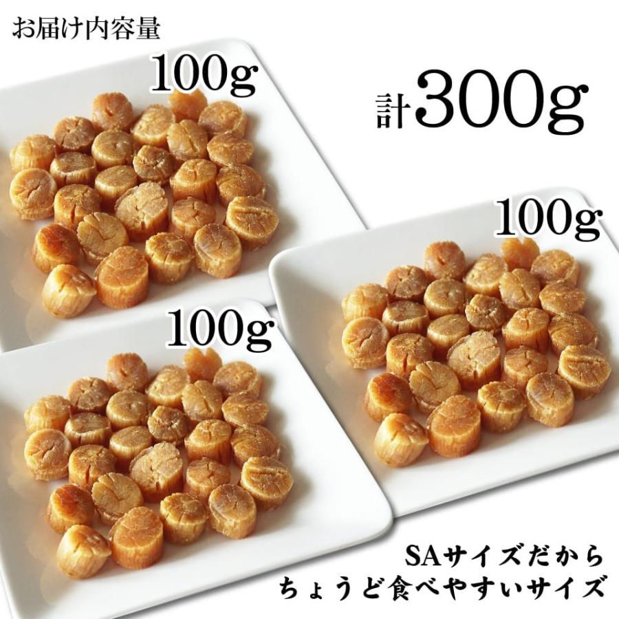 ホタテ 貝柱 干し SAサイズ 100g×3袋 北海道産 高級 干し貝柱 帆 ホタテ 貝柱 干し SAサイズ 100g×3袋 北海道産 高級 干し貝柱 帆