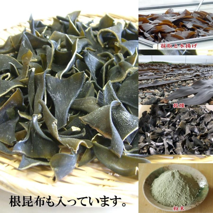 真昆布 昆布粉末 70g×3個 無添加 微粉末 函館産 こぶ粉 葉 根の粉末