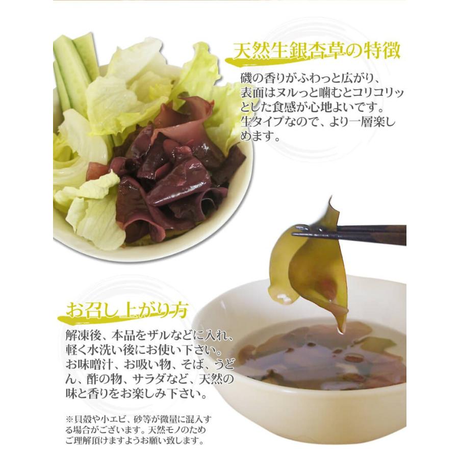 海藻 生銀杏草 150g 生冷凍 天然函館産 採れたてをそのままの天然海草 Nama Ginnanso 函館 マルユウ漁業部 通販 Yahoo ショッピング