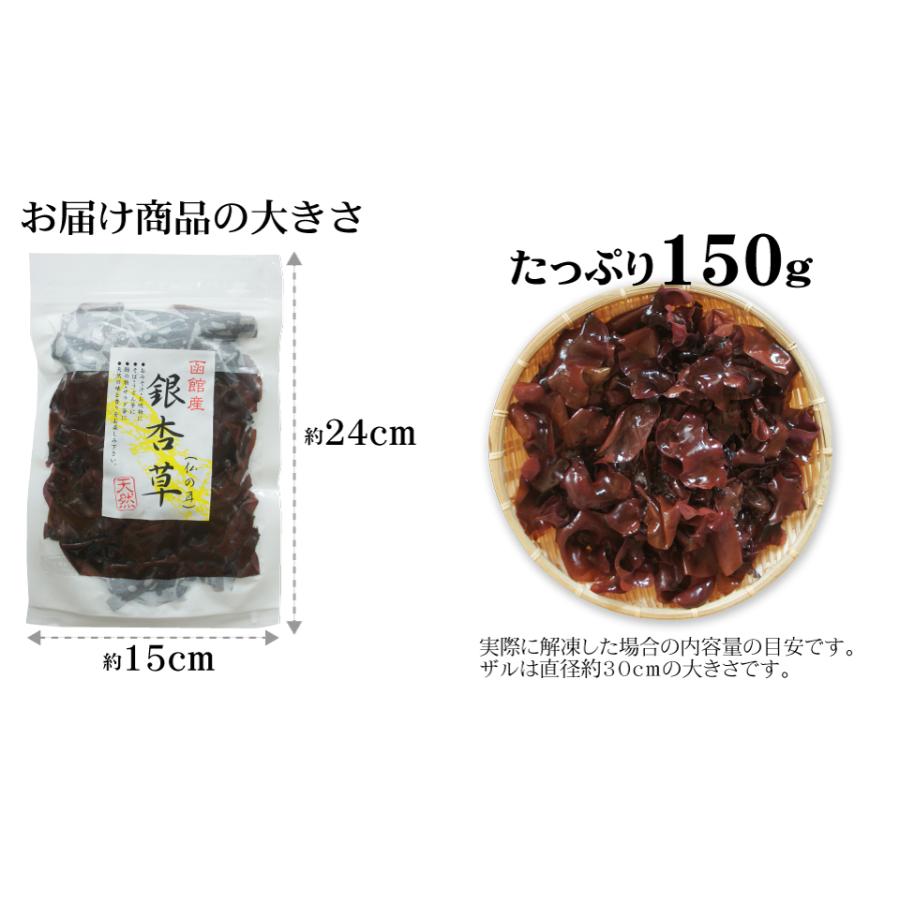 海藻 生銀杏草 150g 生冷凍 天然函館産 採れたてをそのままの天然海草｜maruyuugyogyoubu｜05