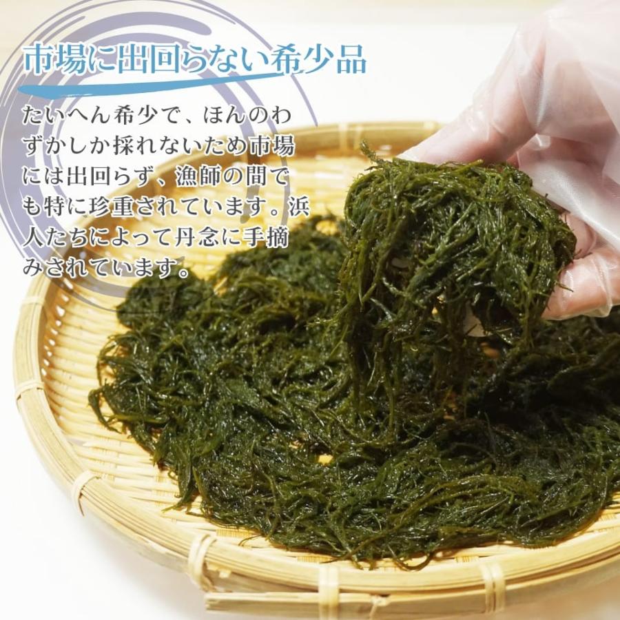 海藻 生まつも 150g 生冷凍 天然函館産 シャッキッ歯触り 採れたてそのまま Nama Matsumo 函館 マルユウ漁業部 通販 Yahoo ショッピング