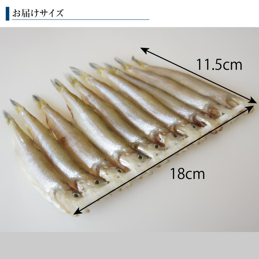 ししゃも 干物 オス 10尾 北海道産 本シシャモ 脂のり抜群｜maruyuugyogyoubu｜07