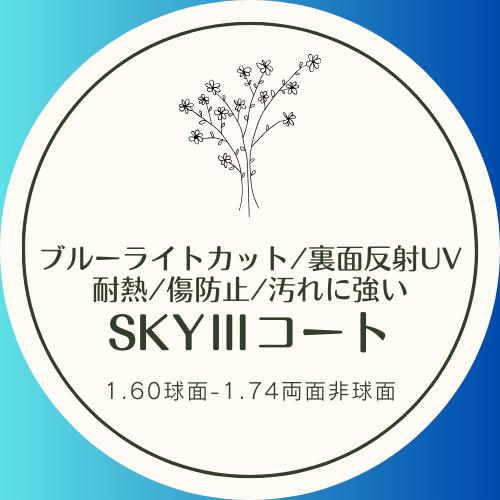 オプション用）SKY3（ブルーライトカット＋裏面反射UV・耐熱・傷防止