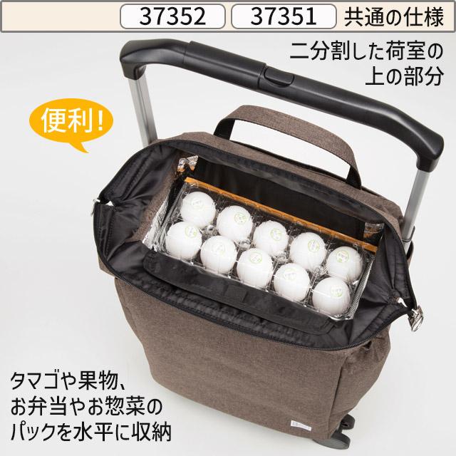Ace（エース） ソフト キャリーバッグ お買い物キャリー E.カート (大