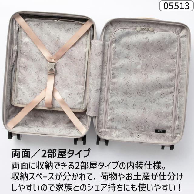 HaNT エース スーツケース ハント ココント ハード 34リットル 48