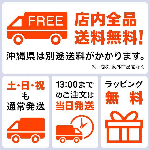 PORTER ポーター ハイブリッド マルチケース(L) 737-17822 吉田カバン