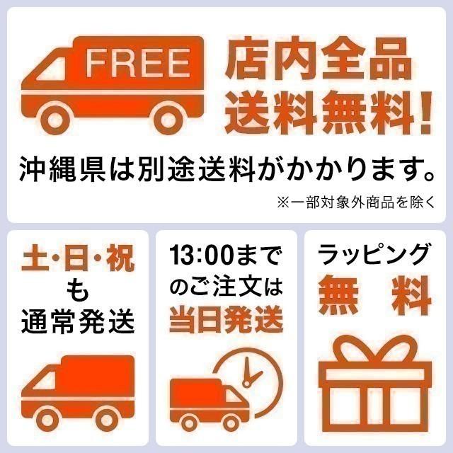 ポーター ムース 2WAYデイパック(L) 751-18176 吉田カバン リュック バックパック 17リットル PORTER MOUSSE バックパック PVC加工