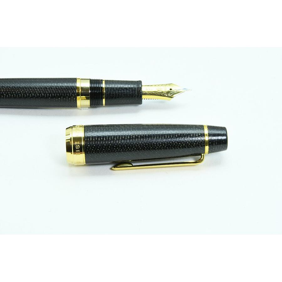 プロフェッショナルギア セーラー SAILOR 万年筆 マイカルタ ブラック