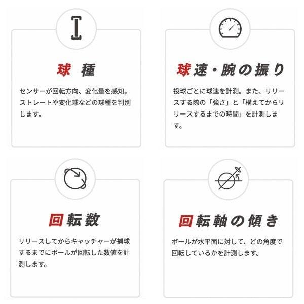 NAGASE KENKO（ナガセケンコー） エスエスケイ SSK 送料無料