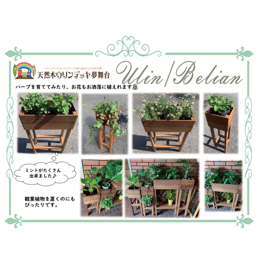ウリン製プランター　いちご一会シングル_5