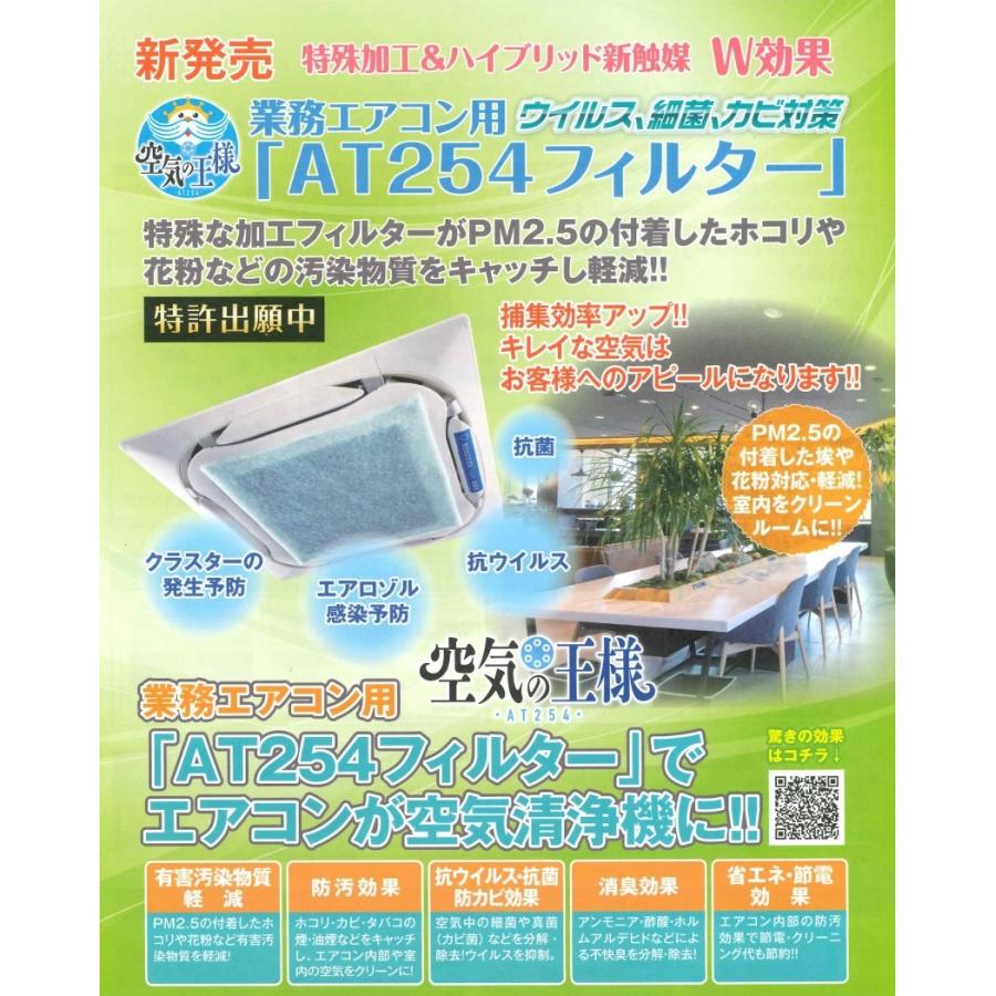 在庫あり】【Lサイズ】 空気の王様【10枚入り】 業務用エアコン用