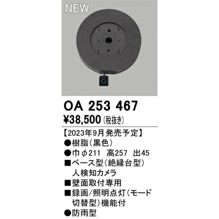 【代引・後払い不可】【OA253467】オーデリック　人検知カメラ_1
