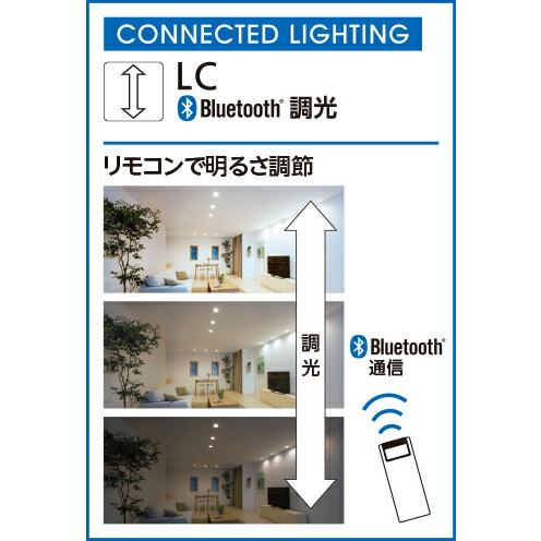 【OC257245BC】オーデリック シャンデリヤ LED一体型 演色性（Ra）：94 リビング、リビング夕めし、シャンデリヤ、ともし火、ともし火物の具、室内装飾ともし火
